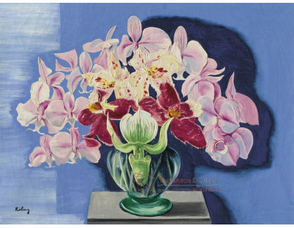 A-8155 Moise Kisling - Orchideje