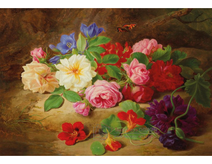 D-5934 Josef Lauer - Zátiší s růžemi a motýlem