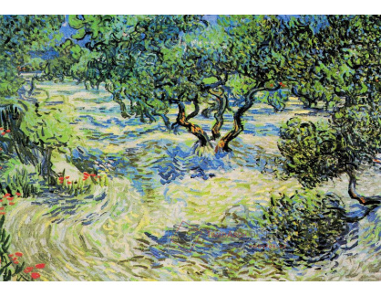 R2-996 Vincent van Gogh - Olivový háj