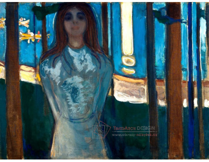 VEM13-27 Edvard Munch - Letní noc