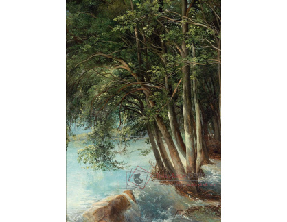 SO XVII-190 Friedrich Salathe - Stromy u řeky
