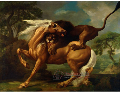 SO X-434 George Stubbs - Lev útočící na koně