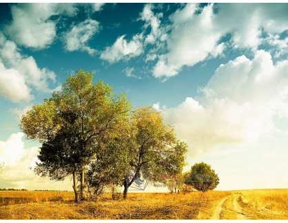 Dárek k objednávce, 40x30 cm