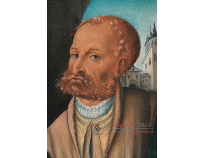 DDSO-2882 Lucas Cranach - Portrét muže s vousy