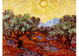 R2-1006 Vincent van Gogh - Olivovníky ve slunci