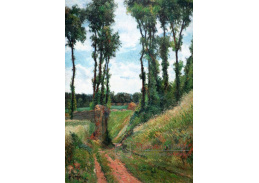 R9-101 Paul Gauguin - Topoly