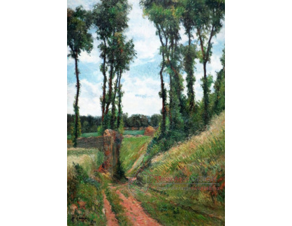 R9-101 Paul Gauguin - Topoly