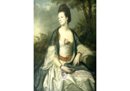 SO VII-241 Joshua Reynolds - Lady Cecil Rice