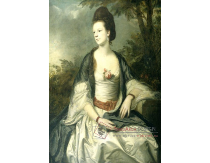 SO VII-241 Joshua Reynolds - Lady Cecil Rice