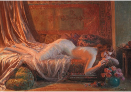 A-8317 Delphin Enjolras - Odpočinek