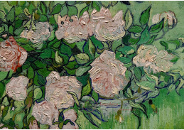 VR2-184 Vincent van Gogh - Keř růží