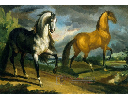 SO XIV-145 Jean Louis Theodore Gericault - Dva koně