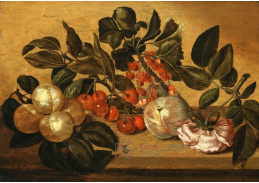 A-5293 Batholomeus Assteijn - Třešně, broskev, jiné ovoce a růže na kamenném podstavci