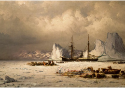 A-5571 William Bradford - Dálný sever