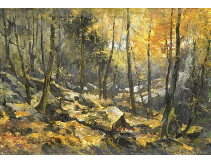 A-647 Egbert Schaap - Lesní scéna se stromy rostoucími skrz kameny