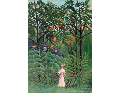 D-7893 Henri Rousseau - Žena v exotickém lese