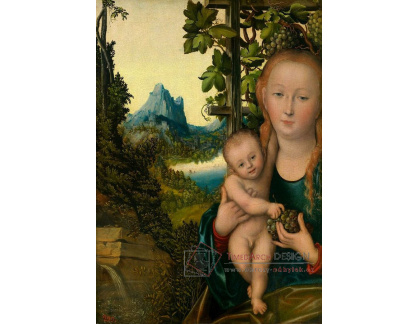 VlCR-132 Lucas Cranach - Madonna s dítětem