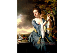 VSO 1226 Joseph Wright - Paní Elizabeth Bostock