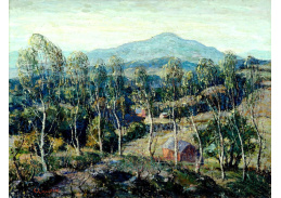 KO III-101 Ernest Lawson - Břízy v Nové Anglii