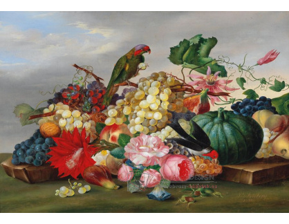 DDSO-4649 Neznámý autor - Zátiší s ovocem a květinami
