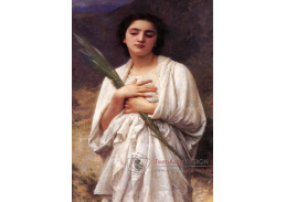 VR15-20 Adolph William Bouguereau - Palmový list