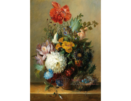 A-2810 Georgius Johannes Jacobus van Os - Zátiší s květinami a ptačí hnízdem