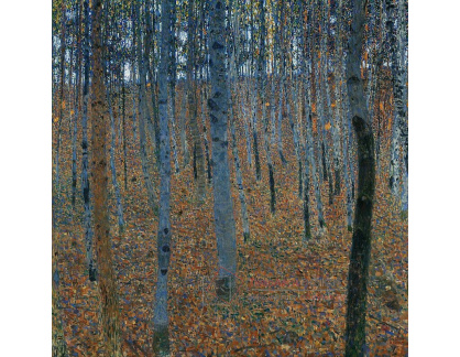 VR3-130 Gustav Klimt - Bukový les