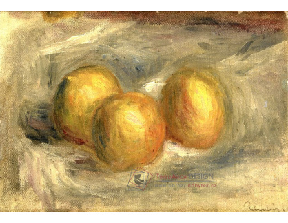 KO VI-240 Pierre-Auguste Renoir - Citrony