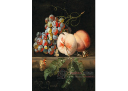 DDSO-4473 Willem van Aelst - Zátiší s ovocem