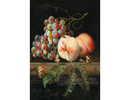 DDSO-4473 Willem van Aelst - Zátiší s ovocem