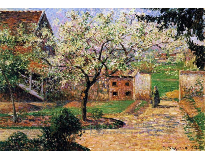 VCP-140 Camille Pissarro - Kvetoucí ovocné stromy v Eragny