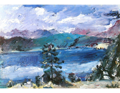 VLC 113 Lovis Corinth - Modřín ve Walchensee