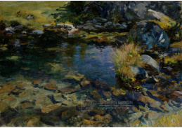 DDSO-2188 John Singer Sargent - Alpské jezírko