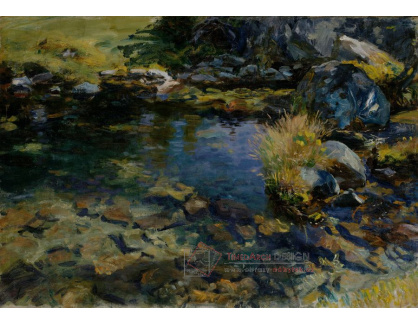 DDSO-2188 John Singer Sargent - Alpské jezírko