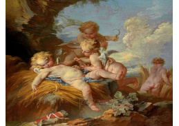 D-6207 Francois Boucher - Ananoff a Wildenstein