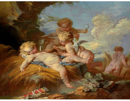 D-6207 Francois Boucher - Ananoff a Wildenstein