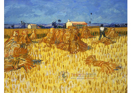 VR2-4 Vincent van Gogh - Sklizeň v Provence