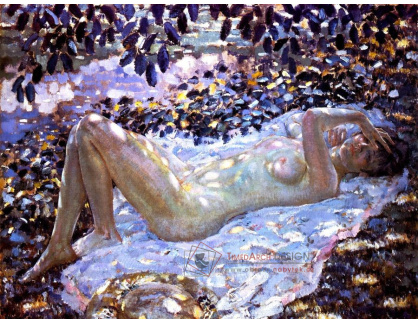 SO IV-223 Frederick Carl Frieseke - Akt