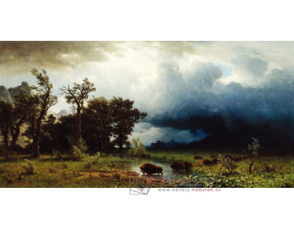 D-8311 Albert Bierstadt - Hrozící bouře