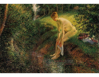 VCP-111 Camille Pissarro - Žena myjící si v potoku nohy