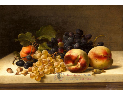 A-1360 Johann Wilhelm Preyer - Zátiší se švestkami, hrozny a lískovými ořechy