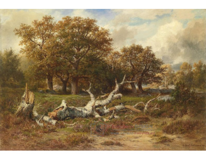 SO XIII-201 Francois Auguste Ortmans - Krajina ve Fontainebleau