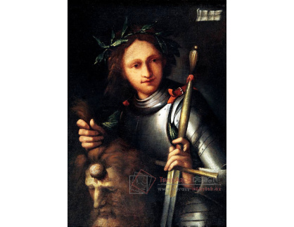 KO II-455 Neznámý autor - David a Goliáš