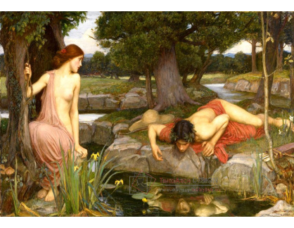 KO IV-218 John William Waterhouse - Echo a Narcissus