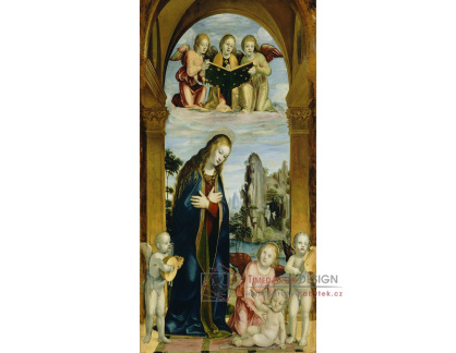 D-8421 Bernardino Zenale - Madonna a dítě s anděly