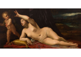 A-8785 Antonio Bellucci - Amor a Venuše