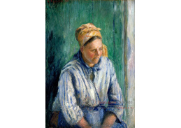 VCP-484 Camille Pissarro - Pradlena