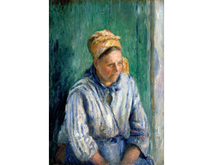 VCP-484 Camille Pissarro - Pradlena