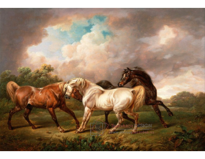SO XI-206 Charles Towne - Tři koně v krajině před bouřkou