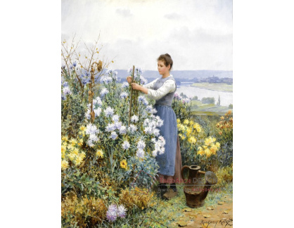 XV-367 Daniel Ridgway Knight - Chryzantémy